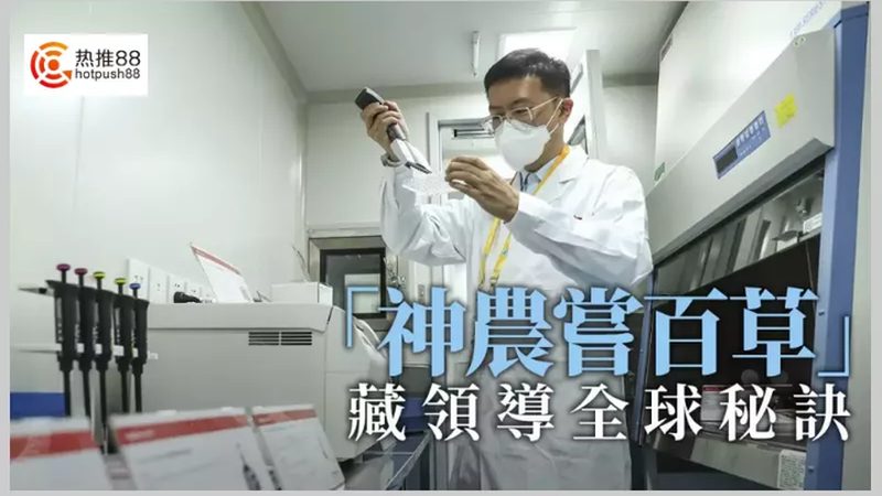 广州工业酶制剂：揭秘其关键作用与选择标准**