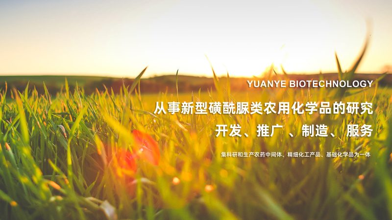 以下是一些上海知名生物试剂公司的地址信息，供您参考：