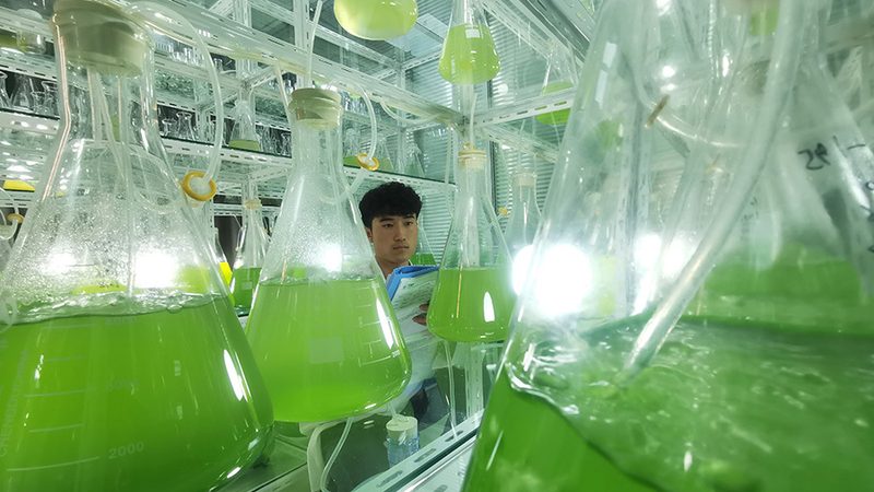基因测序仪：揭秘进口设备的价格之谜**